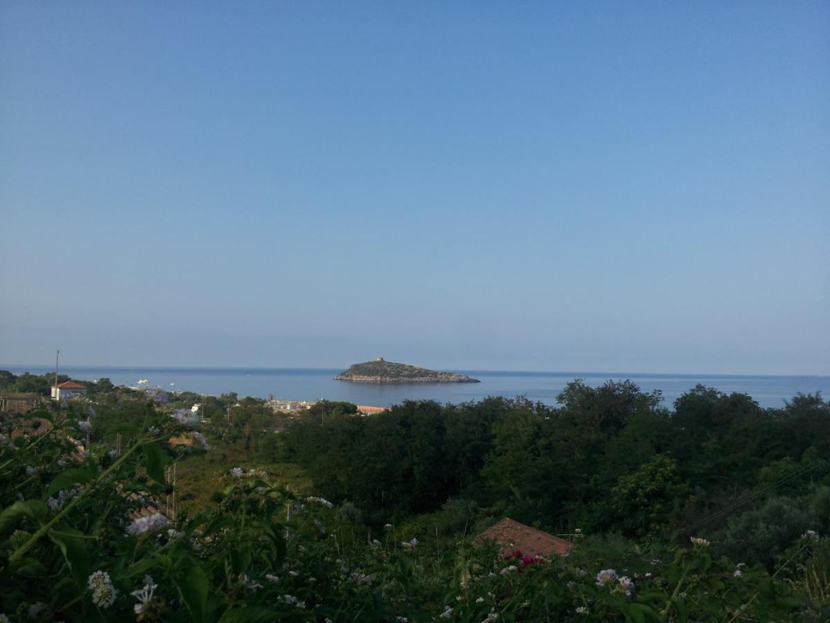 Hotel Villa Cerelis Diamante Bagian luar foto